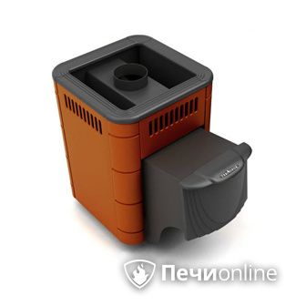 Дровяная банная печь TMF Оса Carbon терракота дверь антрацит в Владивостоке